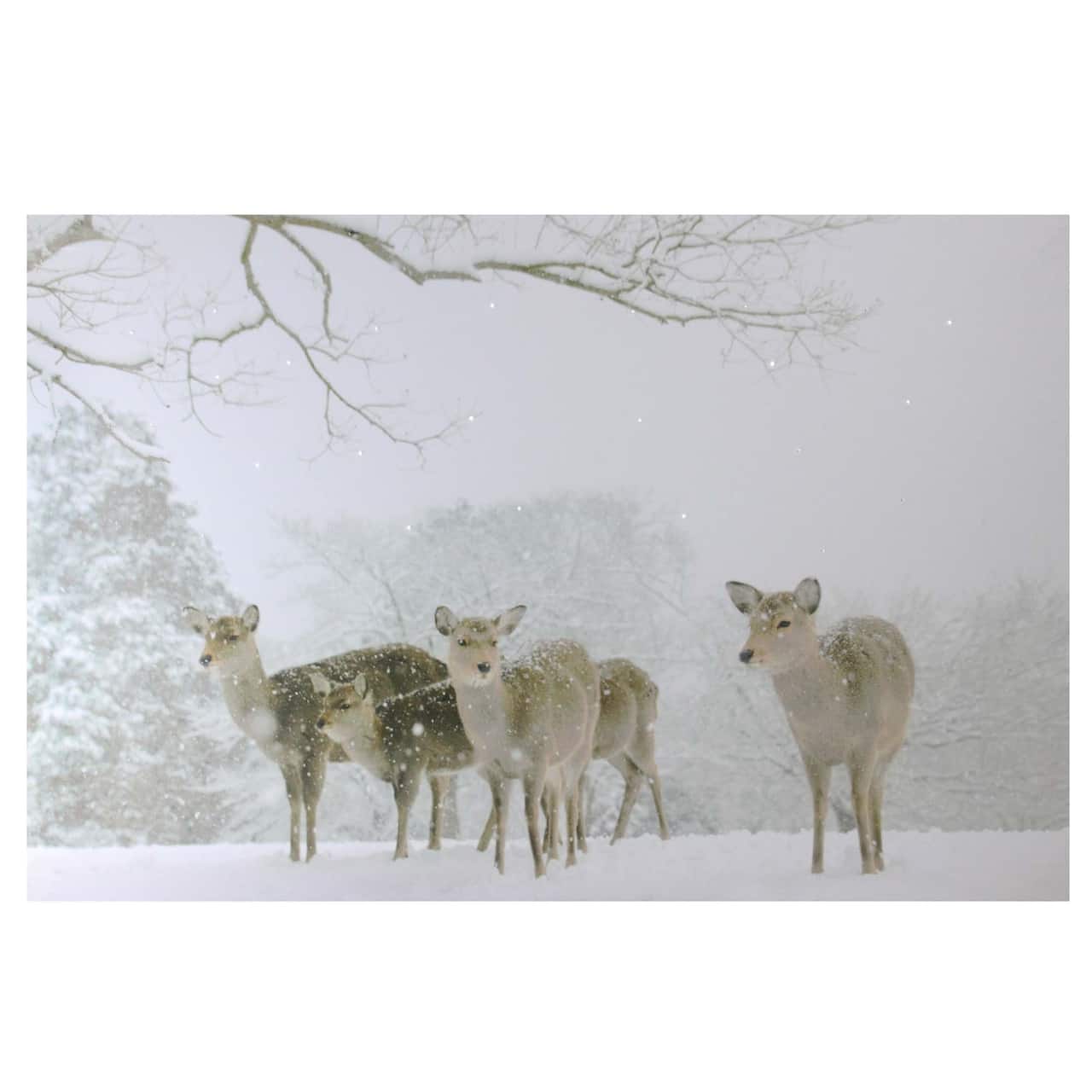Winter Woods Deer Fiber Optic Lighted Canvas Wall Art